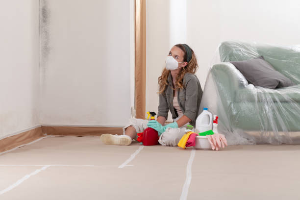 Reliable Black Mold Removal contractor in Edgewater, NJ by WQB Mold Removal
